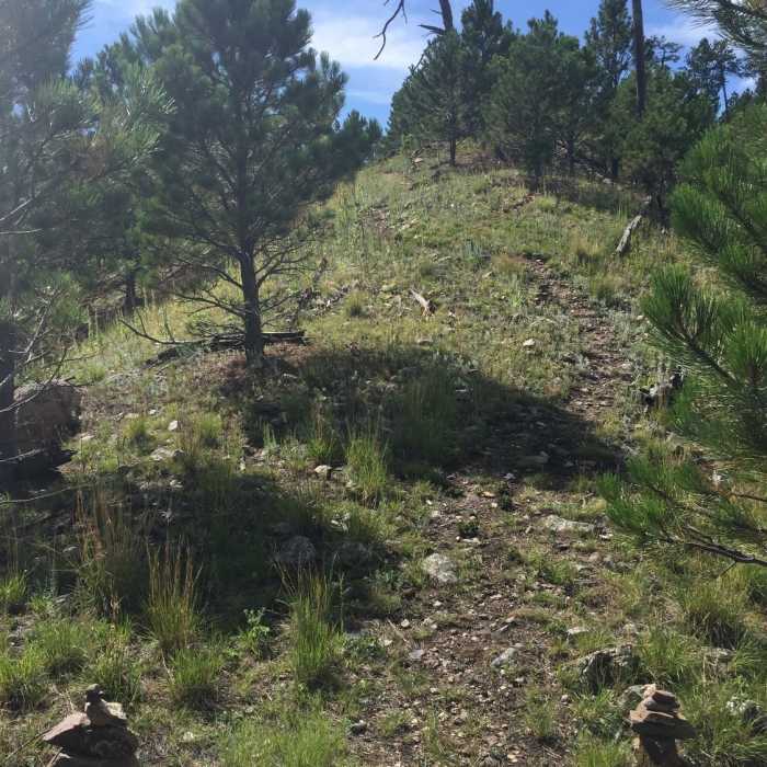 Near Cairn Trail