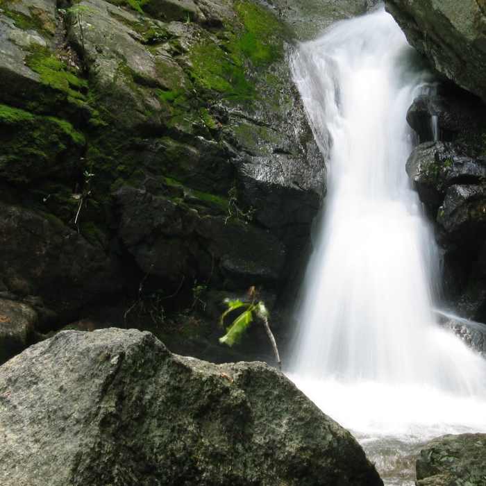 Near White Rocks Trail