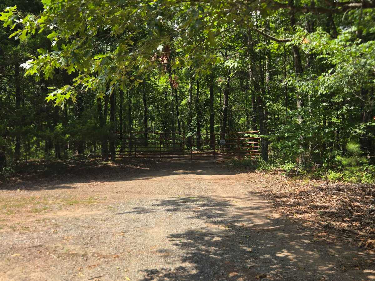 Line Ridge Road photo 5