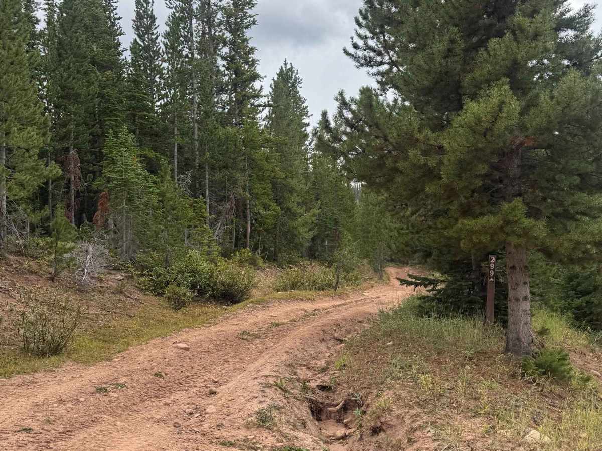 Deadman Mountain trail photo