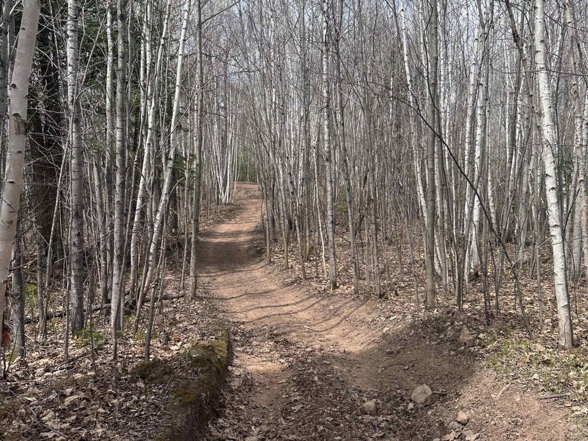Wilderness Trail photo 3