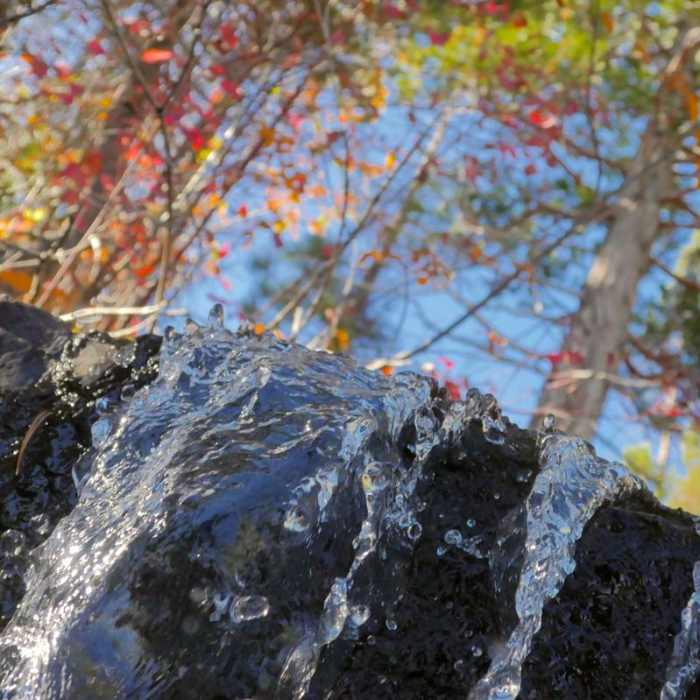 Near Cascade Falls via Bayview Trail