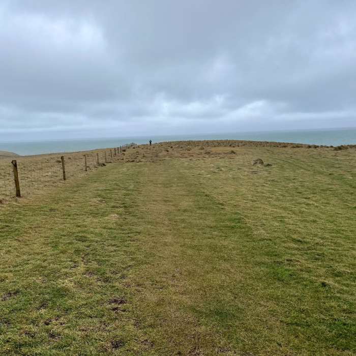 Near Slope Point Walk Near Slope Point Walk