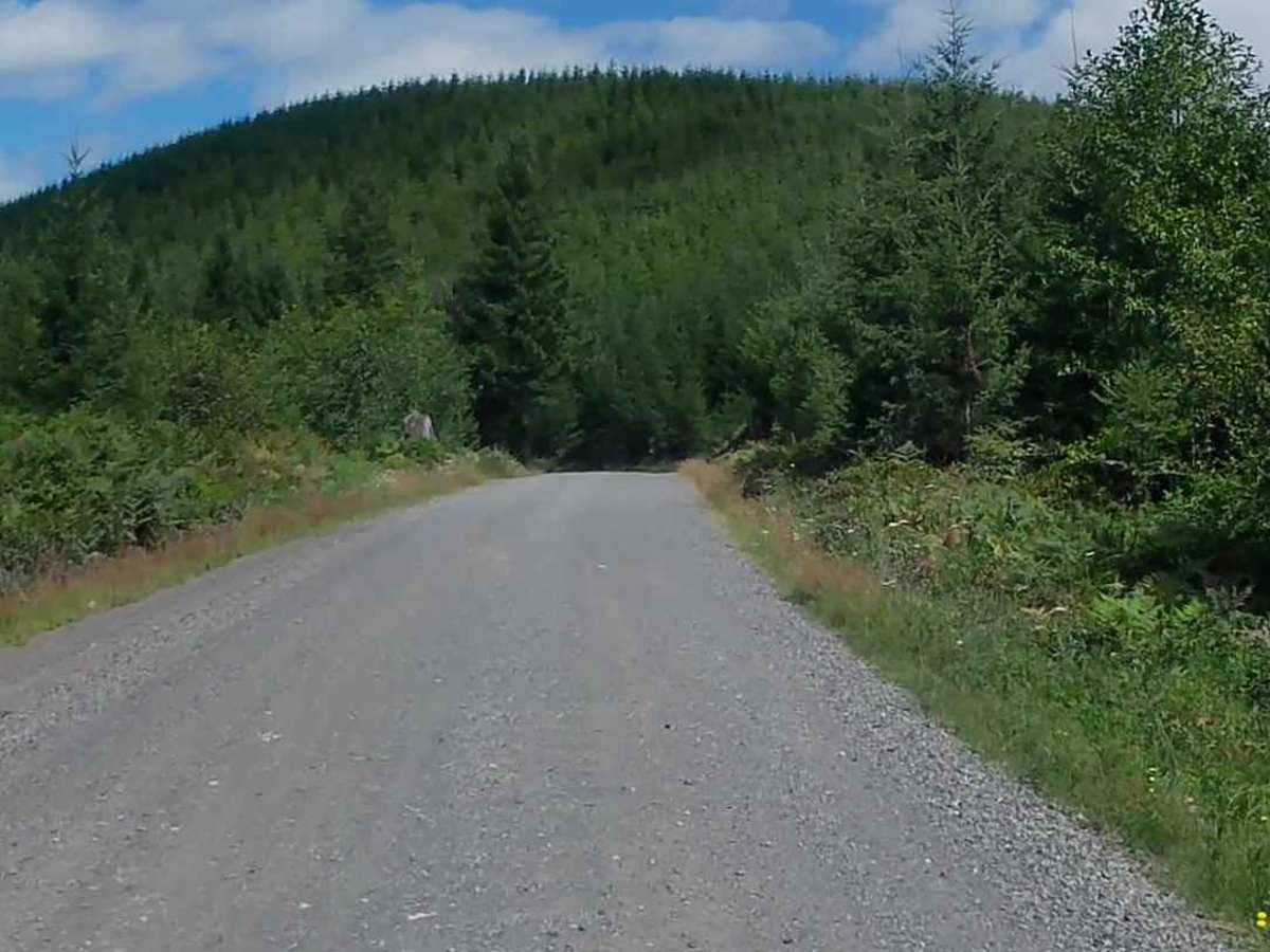 Skamania Mines  photo 4