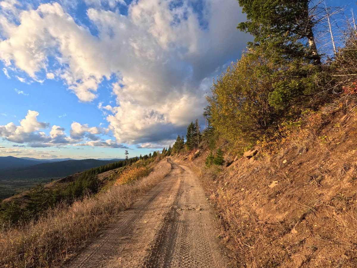 North Baldy - FS 1920306 photo 3