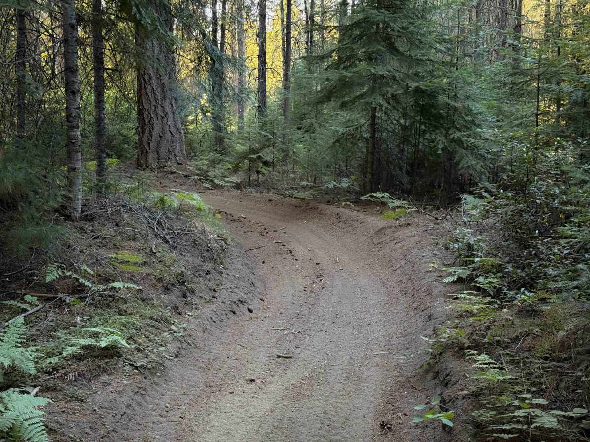 Maze Trail   photo 2