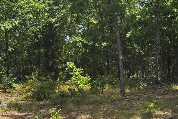 Rocky Ridge Loop