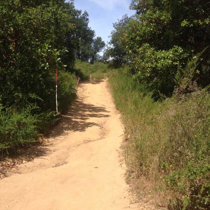 Near French Trail