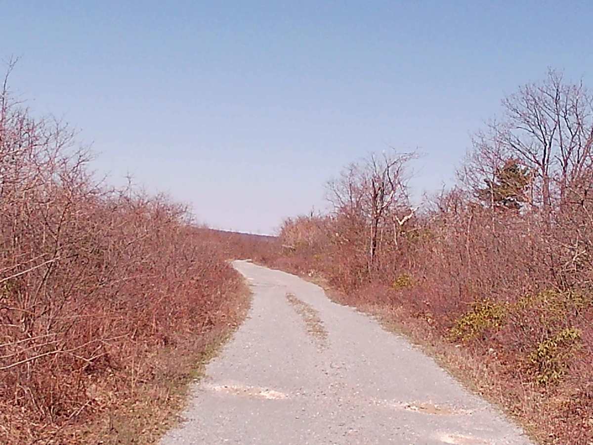 Rock Run Lane photo 5