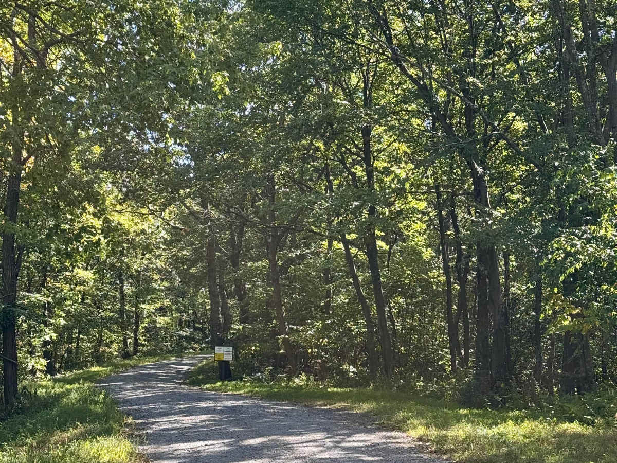 Fisher Road photo 3