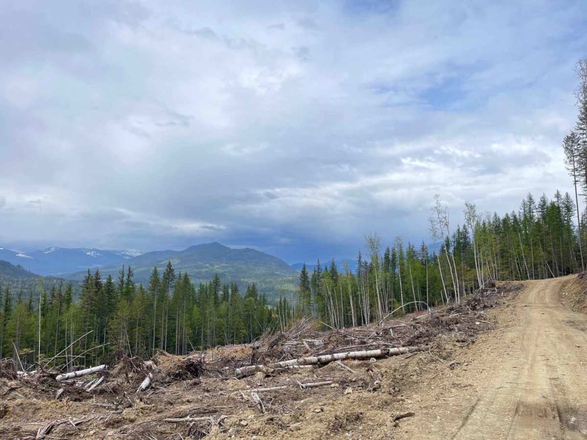 Maks Road photo 5