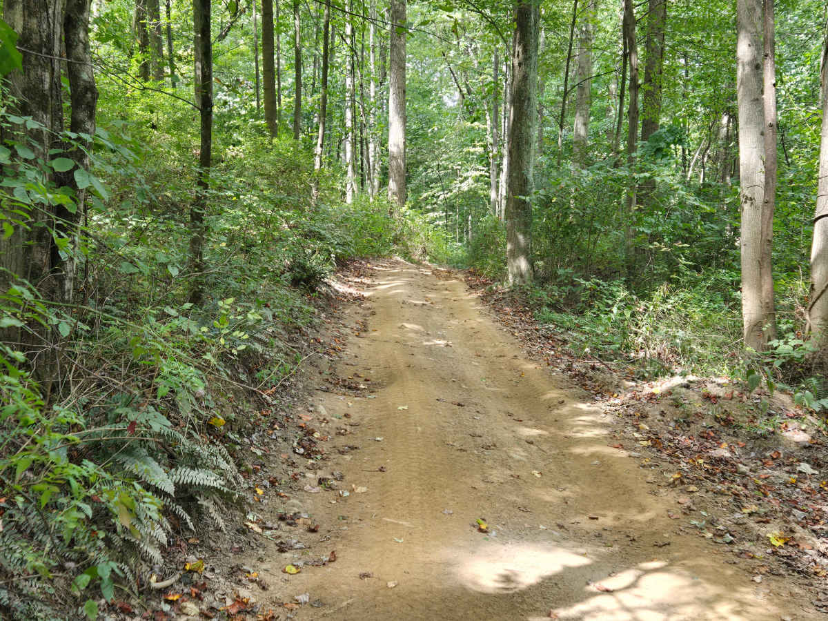 Trail 33 photo 3
