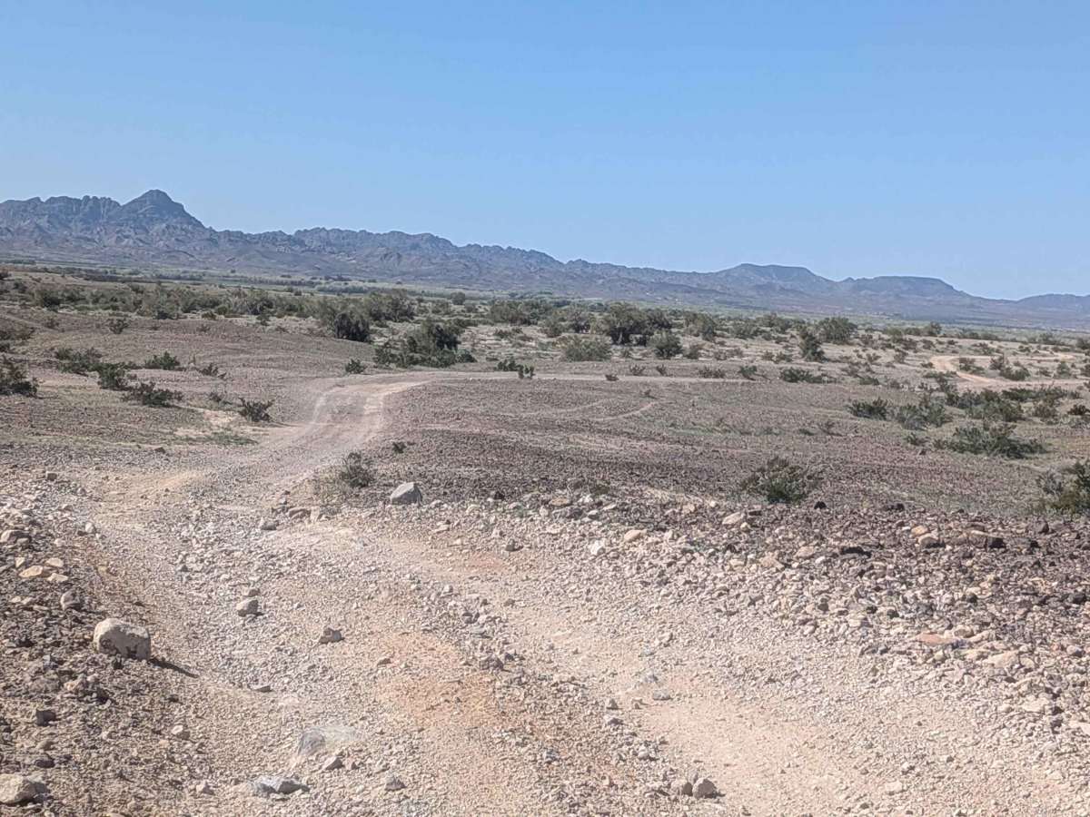 EC1131 trail photo