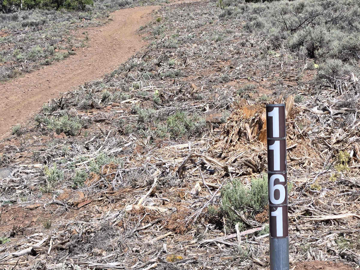 Mill Creek Trail - FS 41161 trail photo