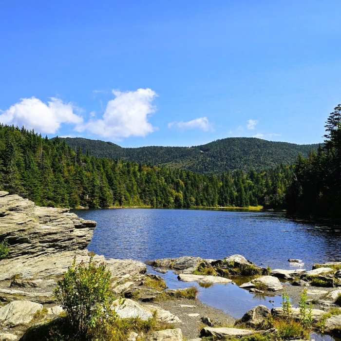 Near Sterling Pond Trail