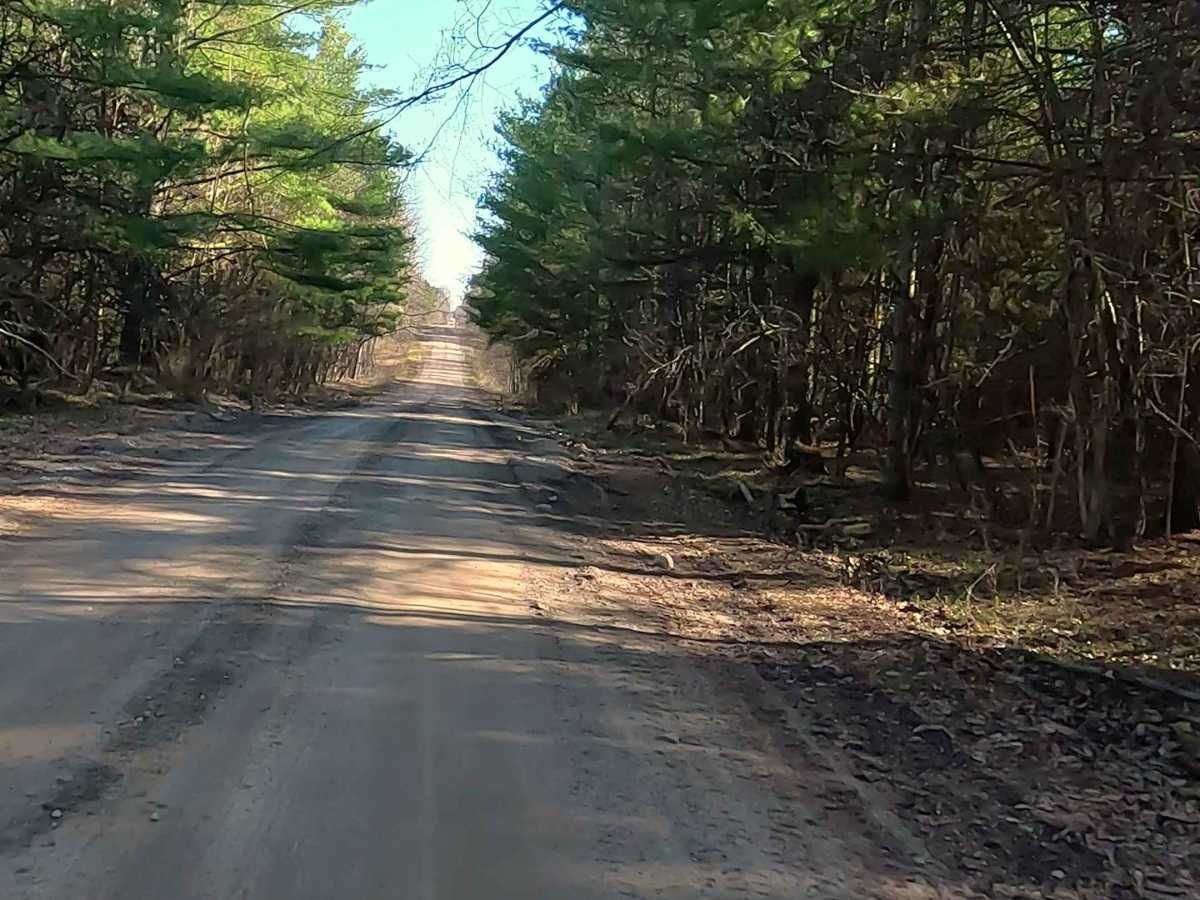 Michaud Road and Goodar Road photo 3