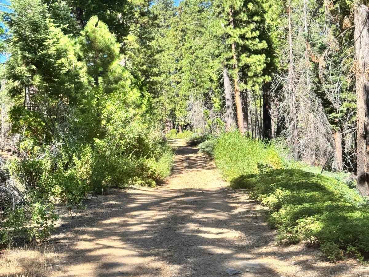 Old Strawberry Road Trail - FS 4N28Y photo 4