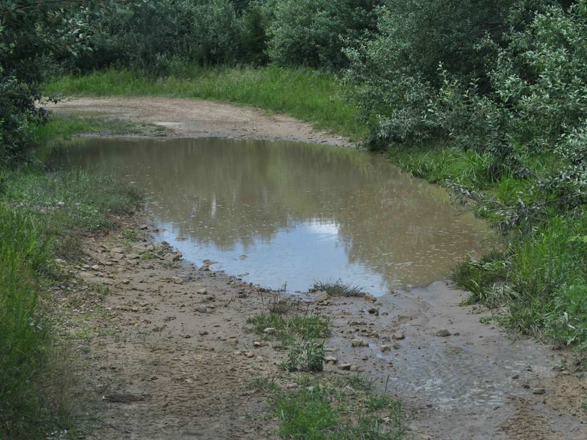 23B photo 4