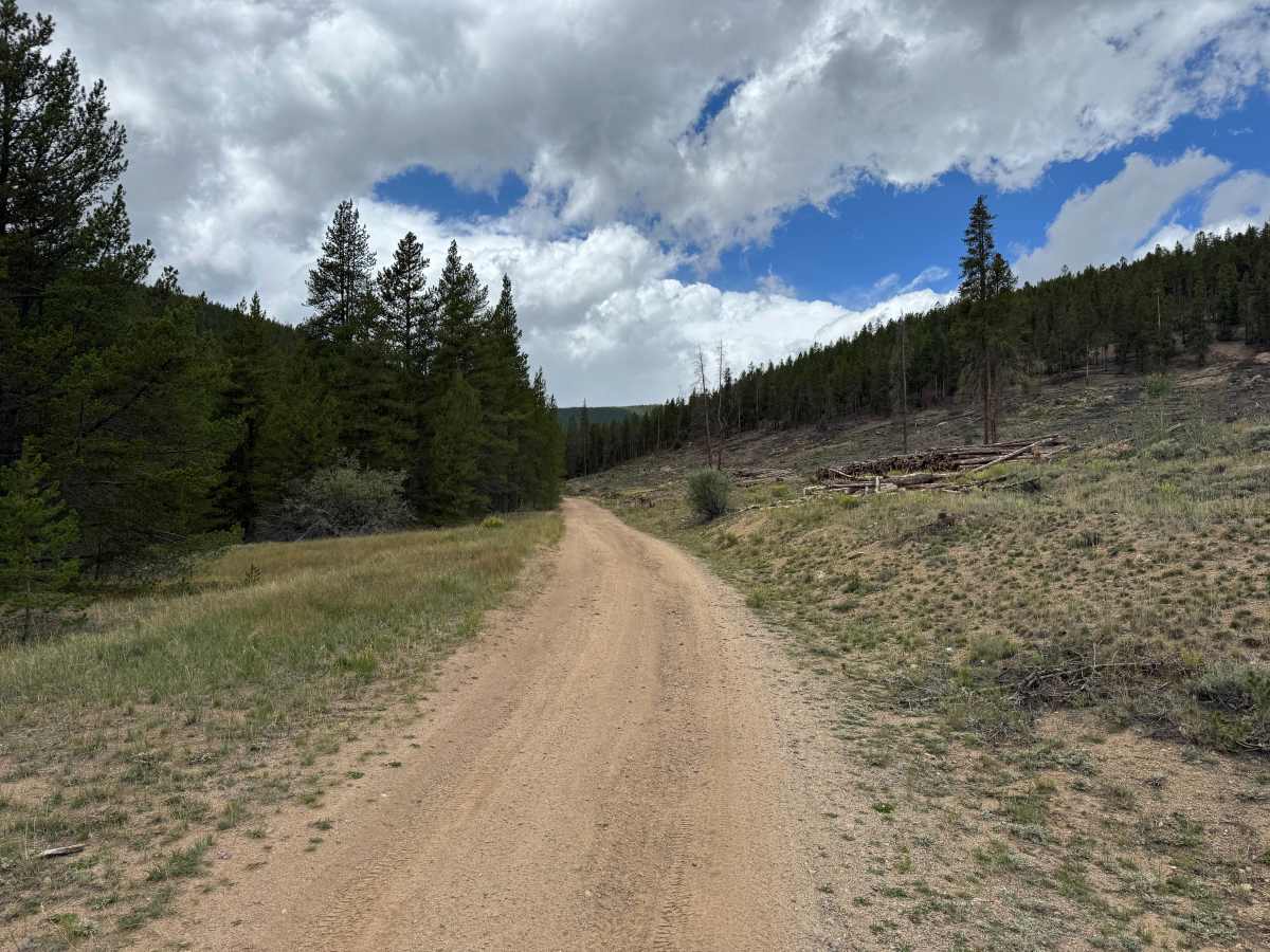 Kevin Gulch Road trail photo