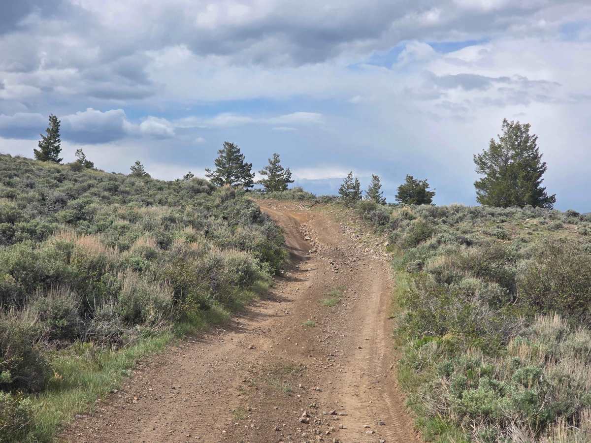 Little Wolfford Mountain Loop A trail photo