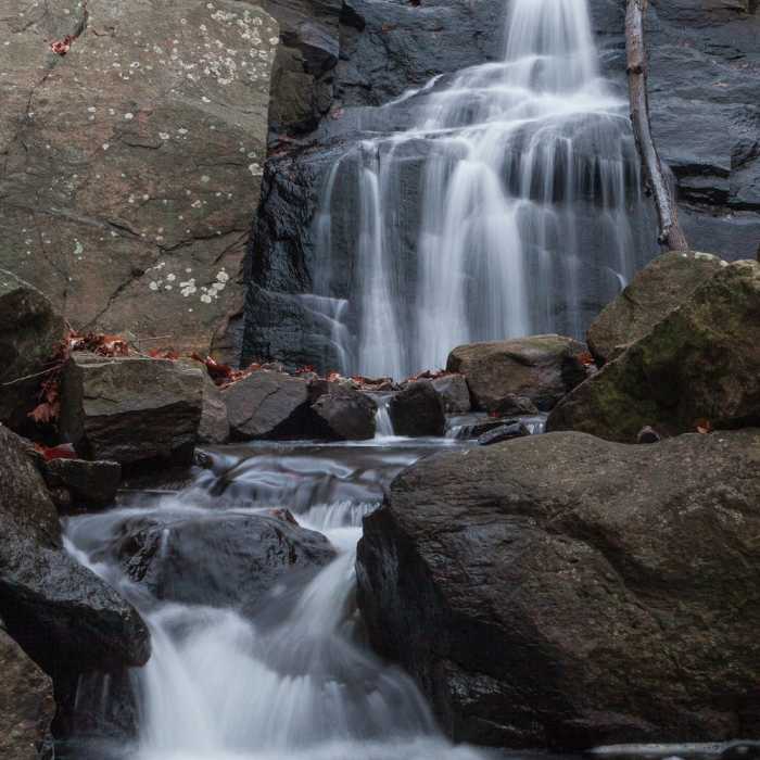 Near Falling Waters Trail