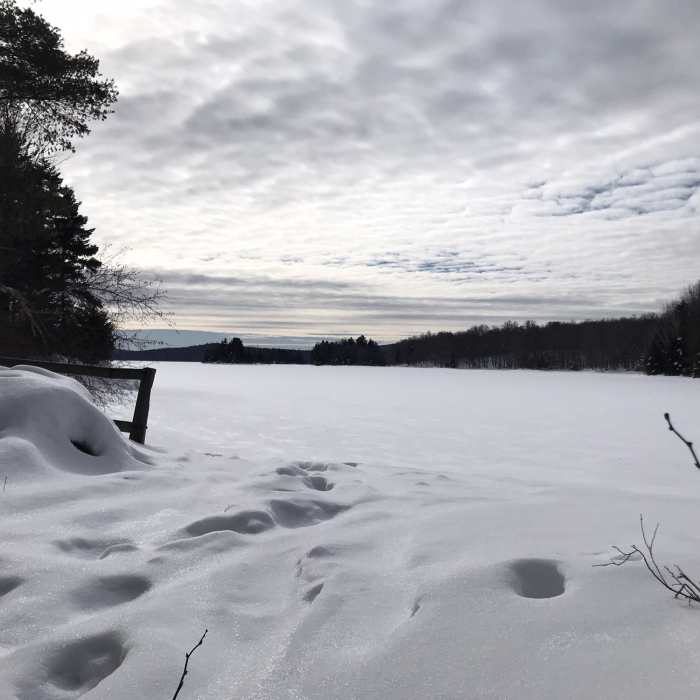 Near Catamount XC Trail:  Section 4