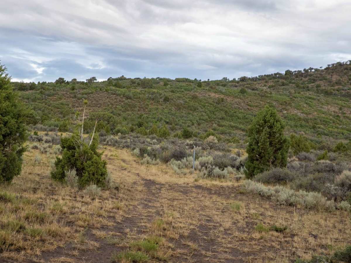 Teah Flat Trail photo 2