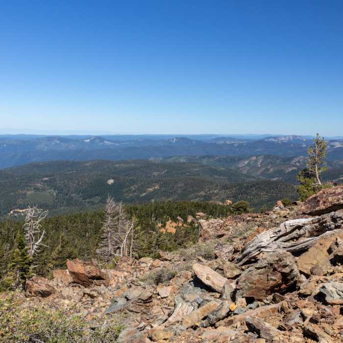 Near Sierra Buttes Trail #12E07