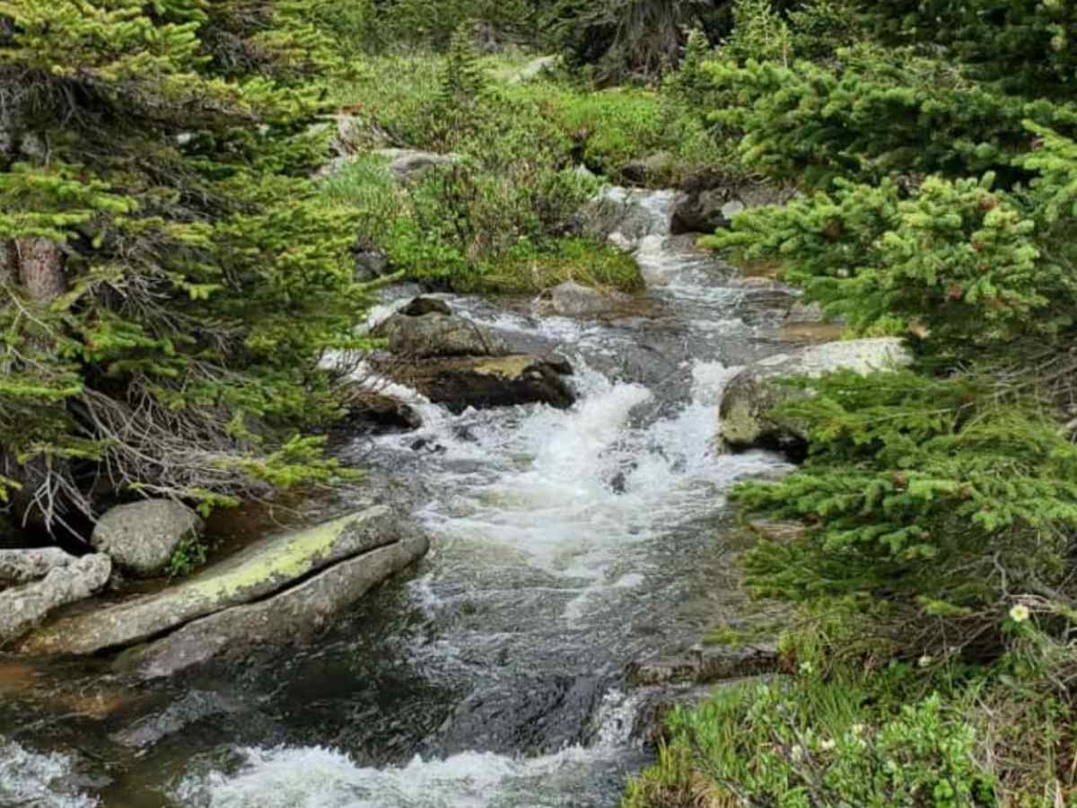 The Woodchuck trail photo