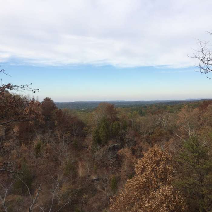 Views. Near Ruffner Ridge and Quarry Loop