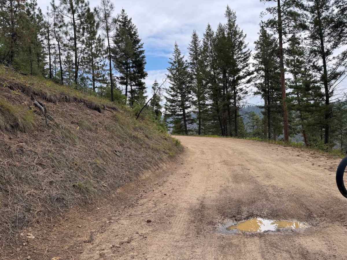 Upper Pierce Creek photo 3