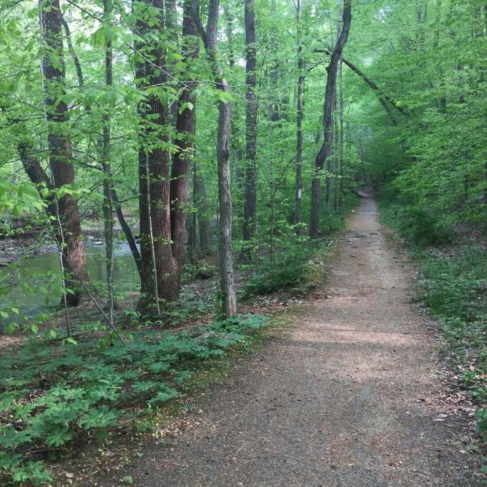 An old road that is now a great trail. Near Triple Entente: Edwin Leid Trail to PennDel Trail to Vaughn's Trail
