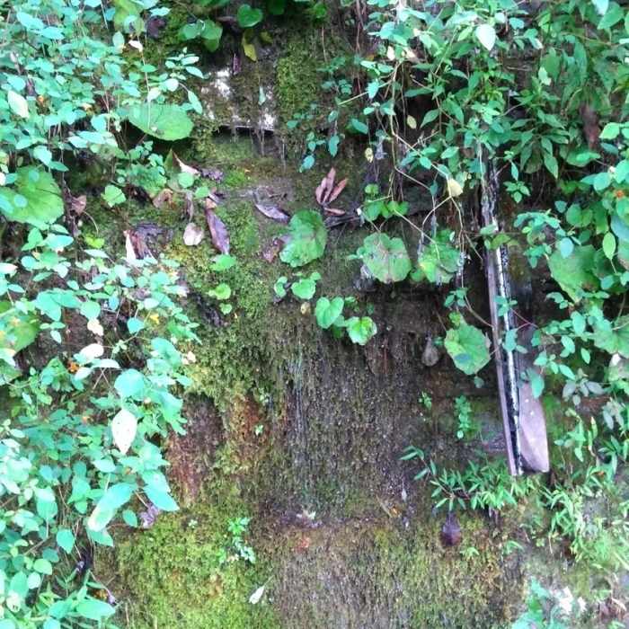 Near Michael D. Young Trail