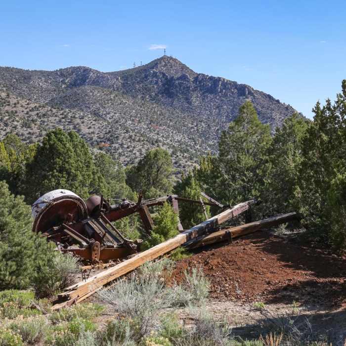 Near White Pine Hill