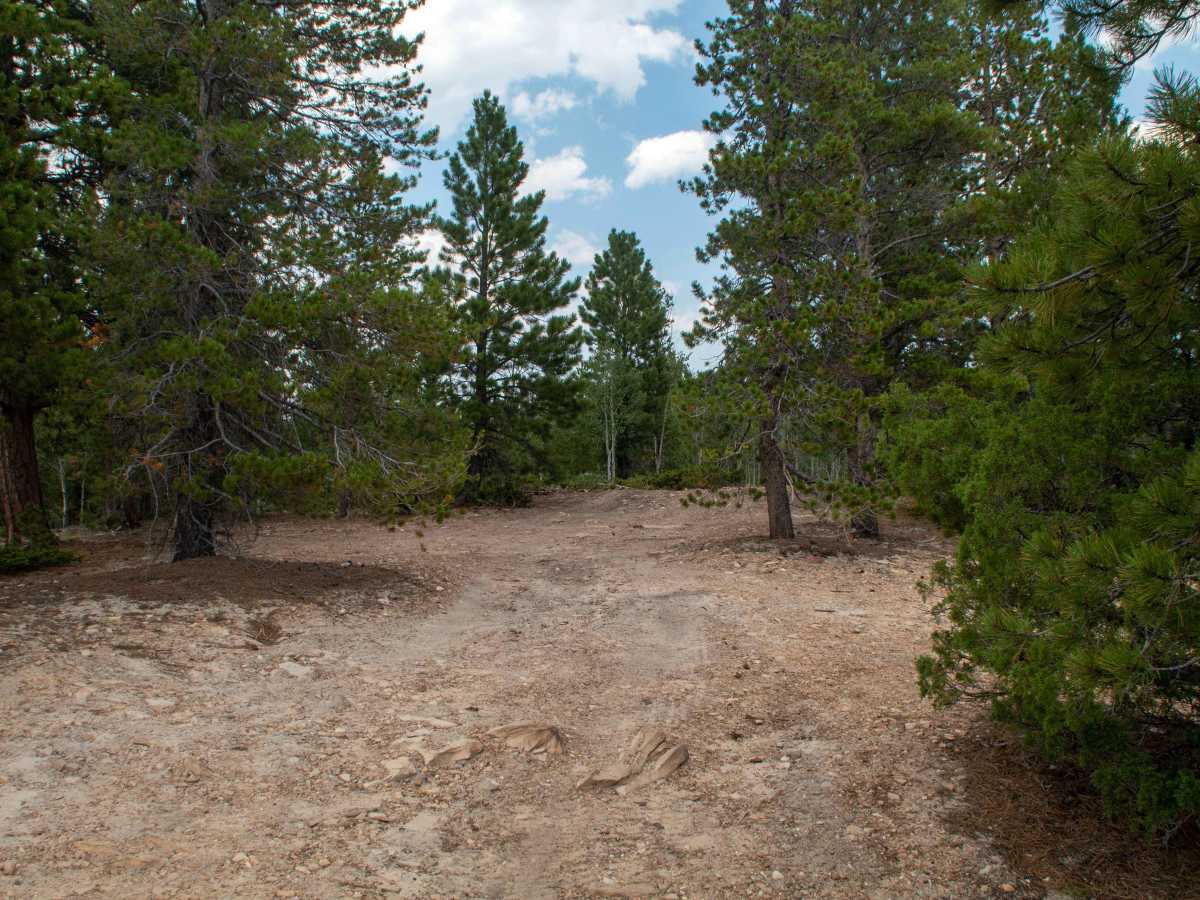 Fence Line - FS10568 photo 2