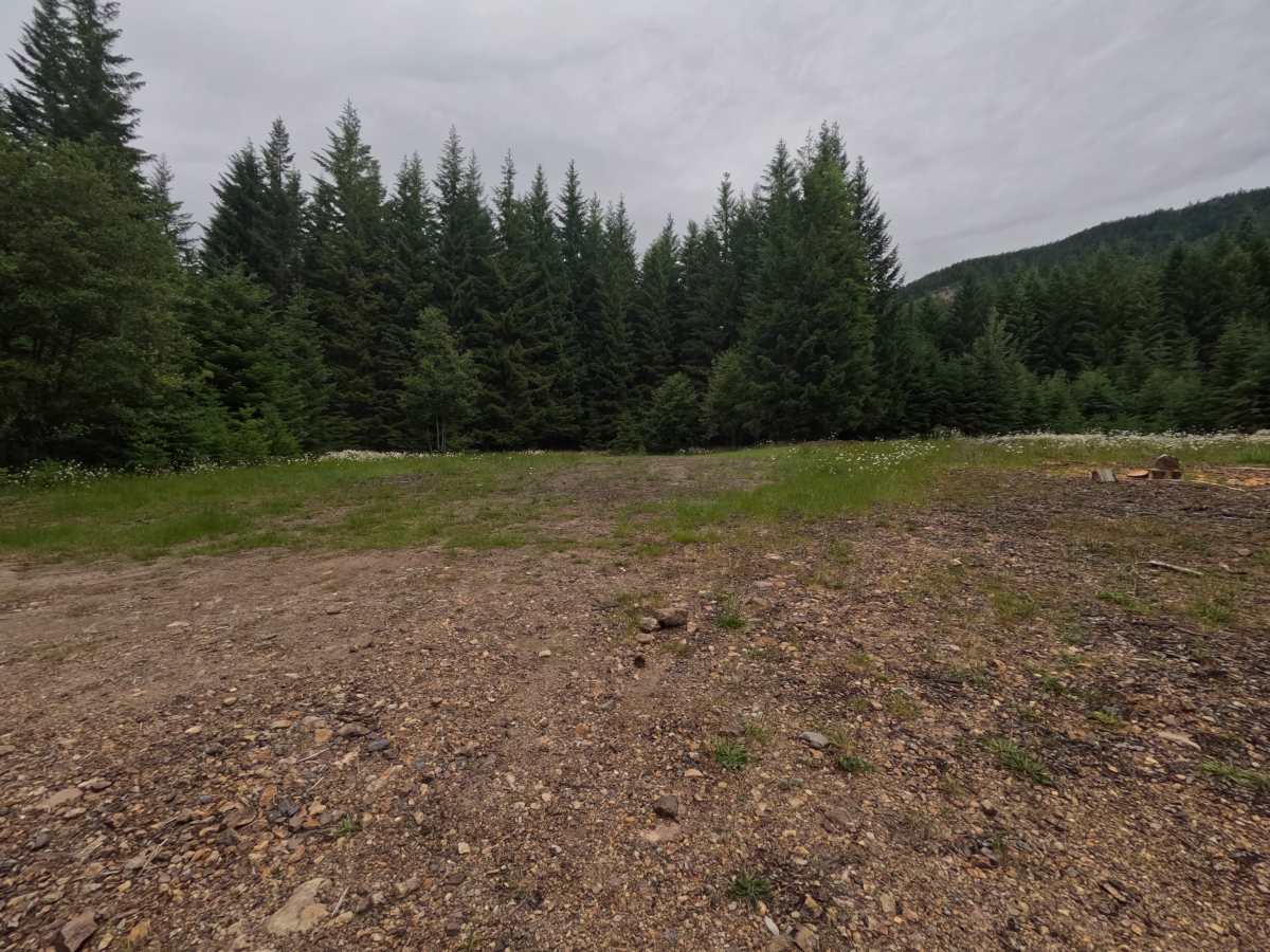 FS 2300246 photo 5
