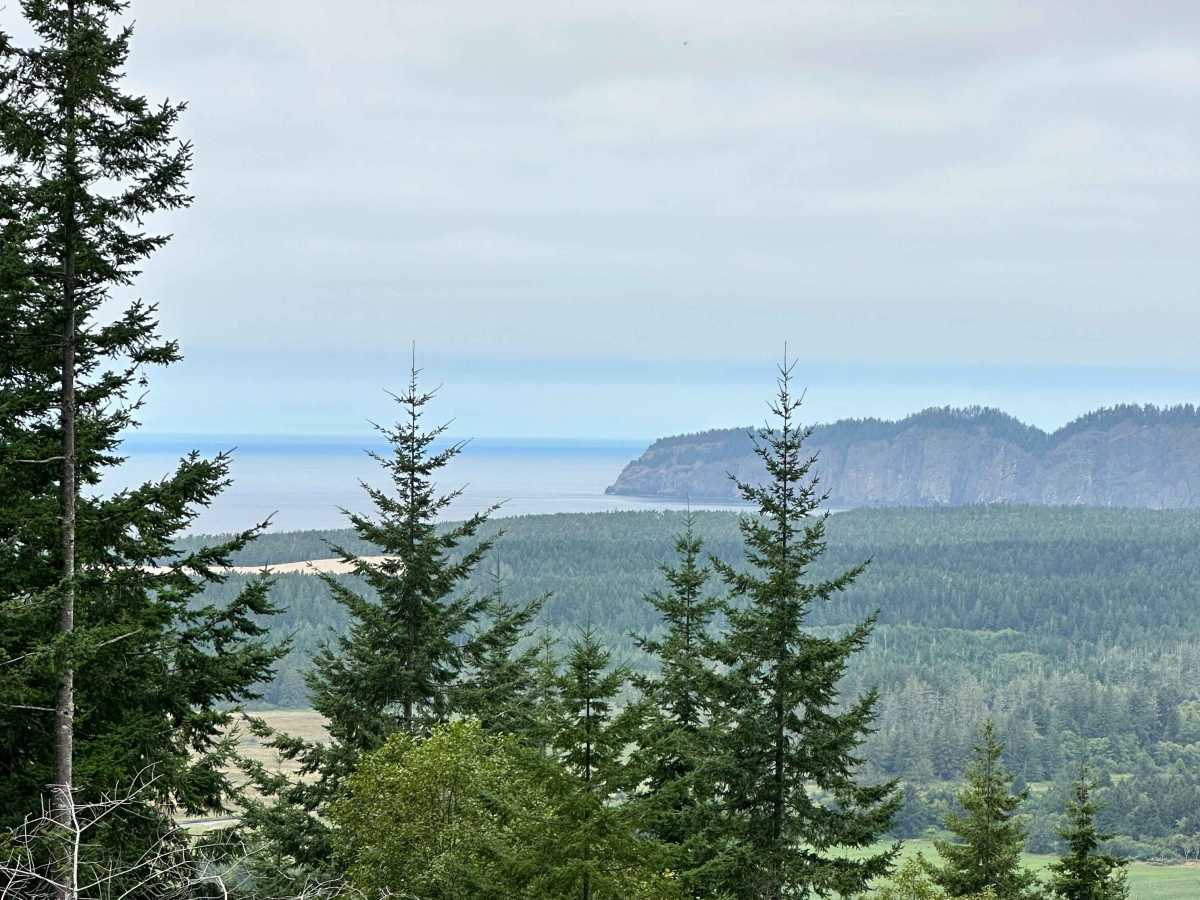 Jewel trail photo