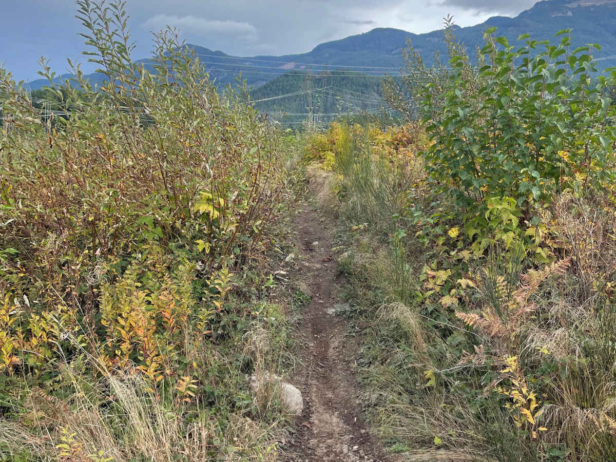 Rob’s Rip Cut Out West photo 2