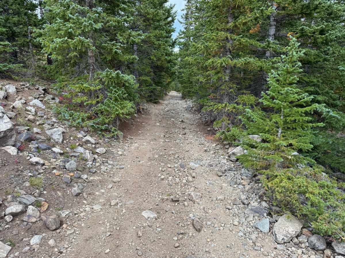 Waldorf Wagon Road photo 3