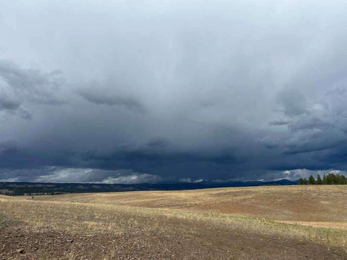 West Fork Weiser photo 2