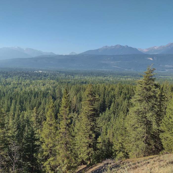 Near Swift Creek Lookout Hike