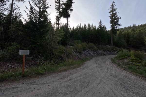 Tyee Lookout Road - FS 5713