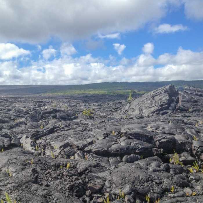 Near Kaimu Black Sand Beach Hike (New Beach) Near Kaimu Black Sand Beach Hike (New Beach)