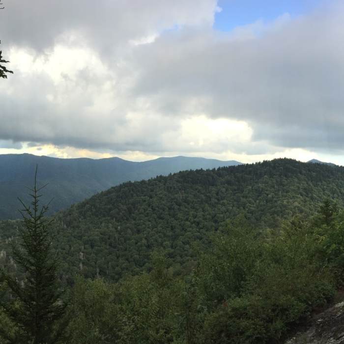 Near Big Butt Trail #161