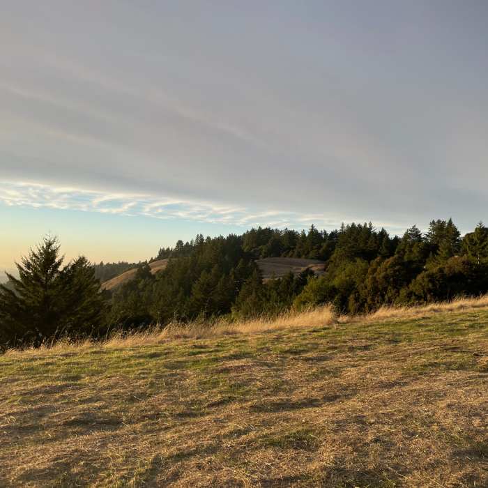 Near Long Ridge Road
