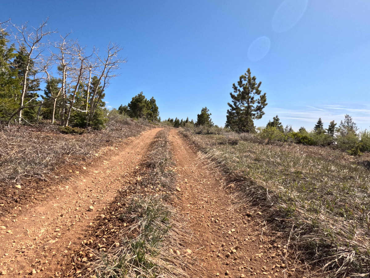 FS 30602  trail photo