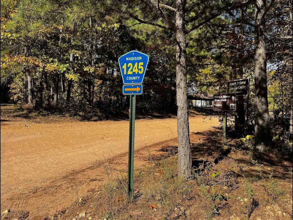 WMA Road 1245 photo 4
