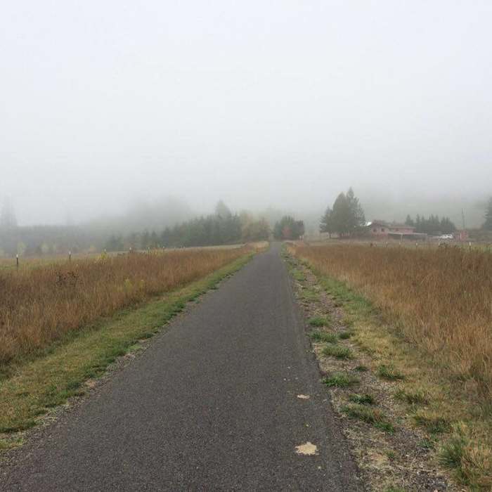 Foggy fields right before the climb up to Stub Stewart. Near Banks-Vernonia State Trail