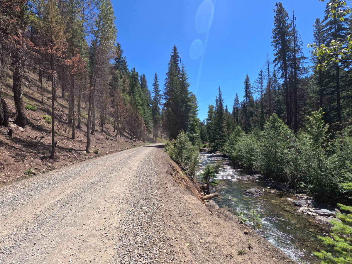 North Fork Teanaway Road - FS 9737 photo 5