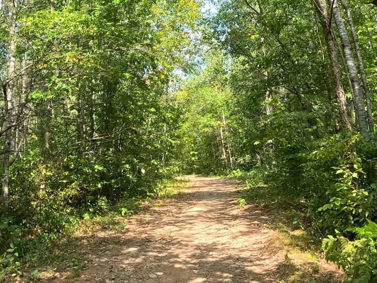 AlanDale Stem Trail trail photo